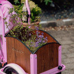 Chanty Cargo Kid – Pink inkl. hjelm, flaskeholder, håndtag i 2 farver og ringklokke - BørnecyklerneChantyBørnecyklernePink: BLC16 - LYRChanty Cargo Kid – Pink inkl. hjelm, flaskeholder, håndtag i 2 farver og ringklokke