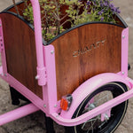 Chanty Cargo Kid – Pink inkl. hjelm, flaskeholder, håndtag i 2 farver og ringklokke - BørnecyklerneChantyBørnecyklernePink: BLC16 - LYRChanty Cargo Kid – Pink inkl. hjelm, flaskeholder, håndtag i 2 farver og ringklokke